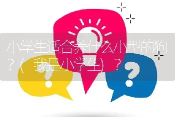 小学生适合养什么小型的狗？(我是小学生)？