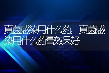 真菌感染用什么药，真菌感染用什么药膏效果好