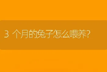 3个月的兔子怎么喂养？