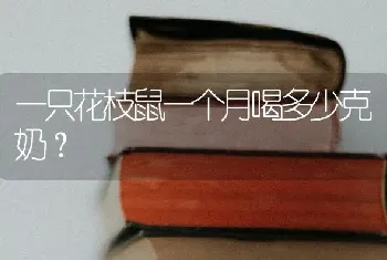 为什么拉布拉多比金毛贵？