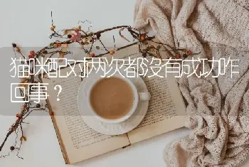 猫咪配对两次都沒有成功咋回事？