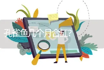 孔雀鱼几个月合缸？