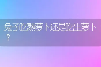 金毛6个月以后还会长身体么？