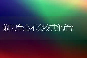 剃刀龟会不会咬其他龟？