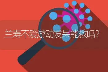 兰寿不爱游动发呆能救吗？