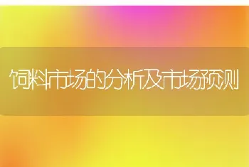 饲料市场的分析及市场预测