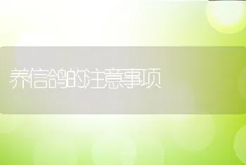 降低雏鸡死亡率的措施