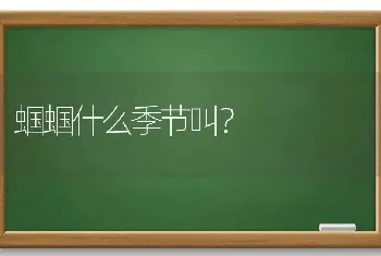 狗狗走丢了怎么办，狗狗丢了怎么找回来？