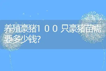 养殖豪猪100只豪猪苗需要多少钱？