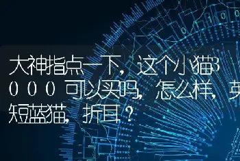 大神指点一下，这个小猫3000可以买吗，怎么样，英短蓝猫，折耳？