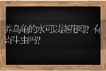 养乌龟的水可以浇花吗?有寄生虫吗？