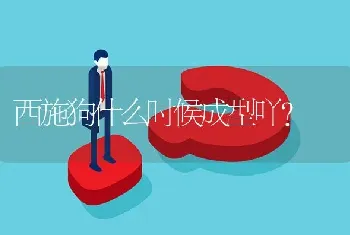 西施狗什么时候成型吖？