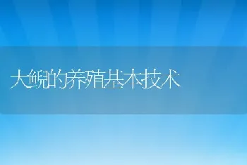 大鲵的养殖基本技术