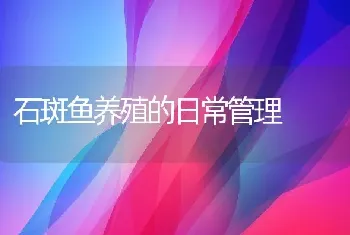 石斑鱼养殖的日常管理