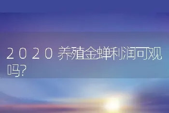 2020养殖金蝉利润可观吗？