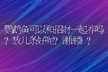 鹦鹉鱼可以和招财一起养吗？放几条好呢？谢谢》？