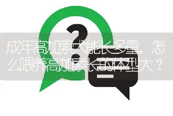 成年高加索犬能长多重，怎么喂养高加索长的体型大？