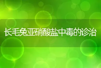 长毛兔亚硝酸盐中毒的诊治