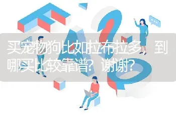 买宠物狗比如拉布拉多，到哪买比较靠谱?谢谢？