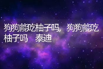 狗狗能吃柚子吗，狗狗能吃柚子吗 泰迪