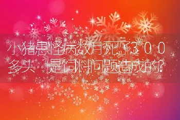 小猪患怪病数月死了300多头是饲料问题造成的?