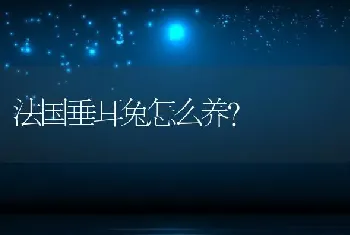 法国垂耳兔怎么养？