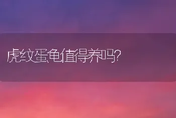 在JOJO里面这是谁的娘化？