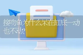 接吻鱼为什么呆在缸底一动也不动？