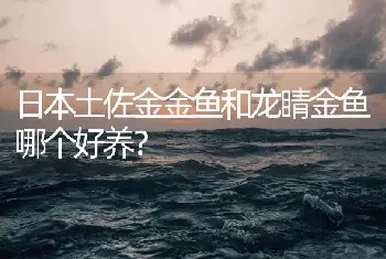 孔雀鱼繁殖规律？