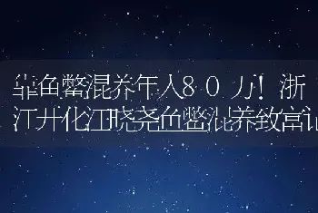 靠鱼鳖混养年入80万！浙江开化汪晓尧鱼鳖混养致富记