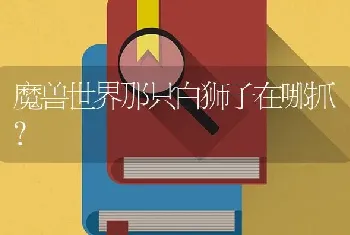 魔兽世界那只白狮子在哪抓？