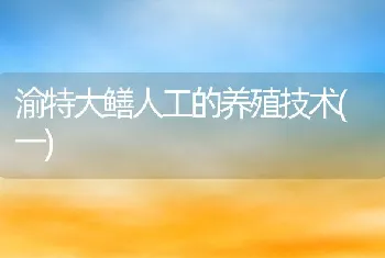 渝特大鳝人工的养殖技术(一)