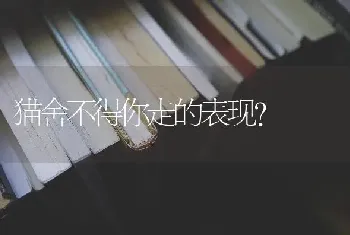 猫舍不得你走的表现？