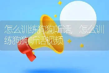 怎么训练狗狗听话，怎么训练狗狗听话视频