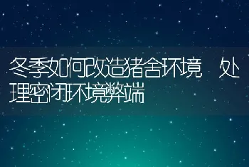 冬季如何改造猪舍环境处理密闭环境弊端