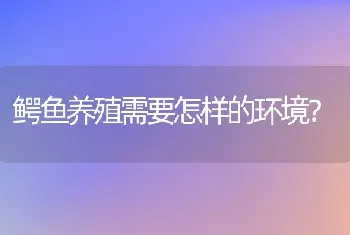 鳄鱼养殖需要怎样的环境？