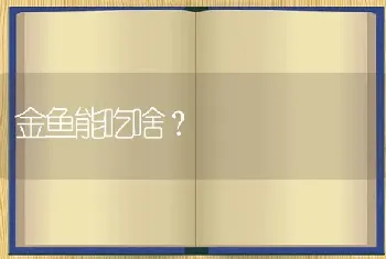 金鱼能吃啥？