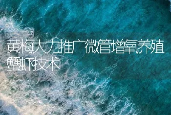 黄梅大力推广微管增氧养殖蟹虾技术