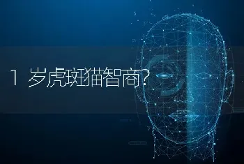 和平精英法斗面罩怎么获取？