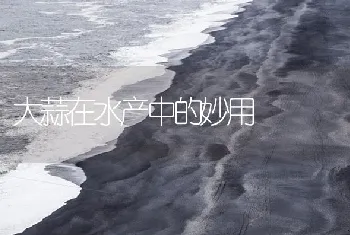 大蒜在水产中的妙用