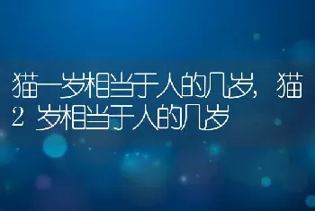 猫一岁相当于人的几岁，猫2岁相当于人的几岁