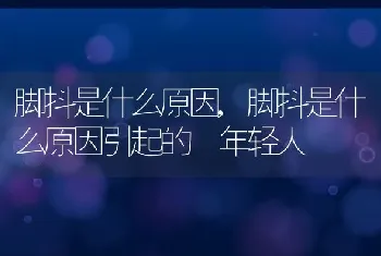 脚抖是什么原因，脚抖是什么原因引起的 年轻人