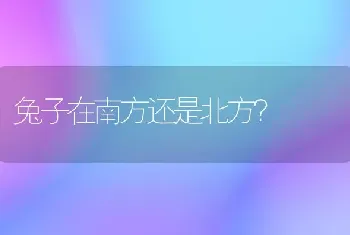 兔子在南方还是北方？