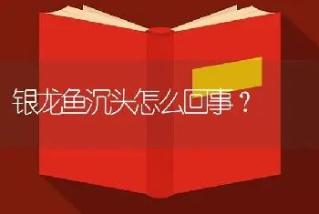 银龙鱼沉头怎么回事？