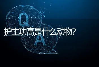 小狗三个多月，突然抽了，是不是得脑炎？脑炎症状是什么样？