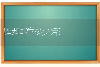 猫想吃人吗？