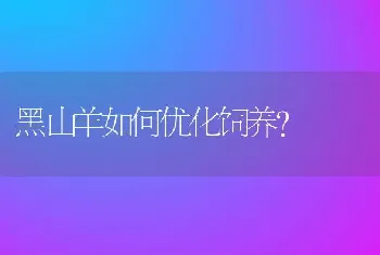 黑山羊如何优化饲养？