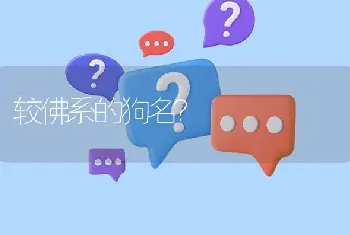 较佛系的狗名？