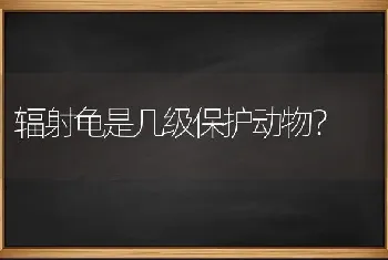 辐射龟是几级保护动物？