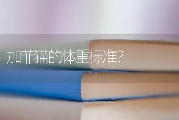 新买的小比熊回到家吃完饭就吐了刚买的比？